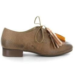 Pinto Di Blu Lacets 20550 Marron