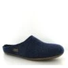 Haflinger Mules Everest Fundus Bleu