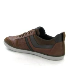 Geox Lacets Elver U25bcb Marron 6 Geox Lacets Elver U25bcb Marron -Magasin De Chaussures E223801 3