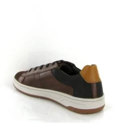 Geox Lacets Magnete U26dxd Marron -Magasin De Chaussures E224101 3