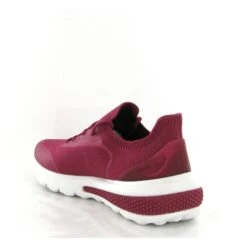 Geox Spherica Tennis Spherica D35tha Bordeaux -Magasin De Chaussures E270701 3